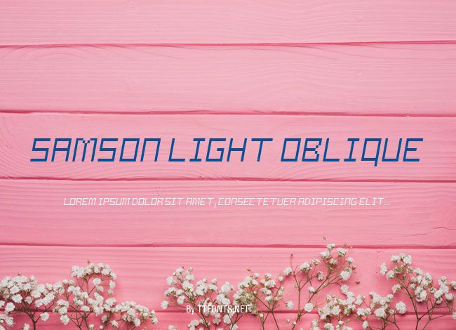 Samson Light Oblique example